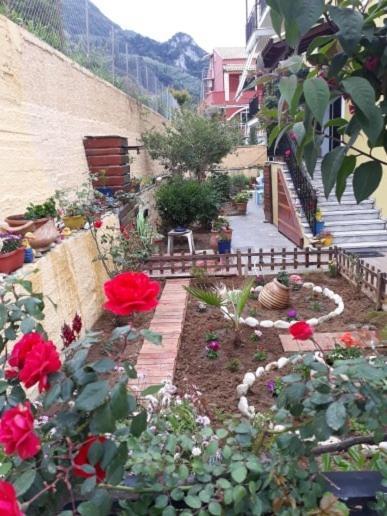 Margaritas' Rooms Agios Gordios  Exterior photo